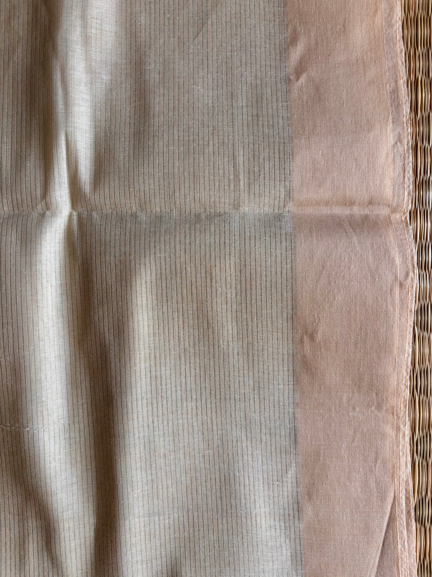 Beige Mangalagiri Cotton Saree with Kalamkari Blouse