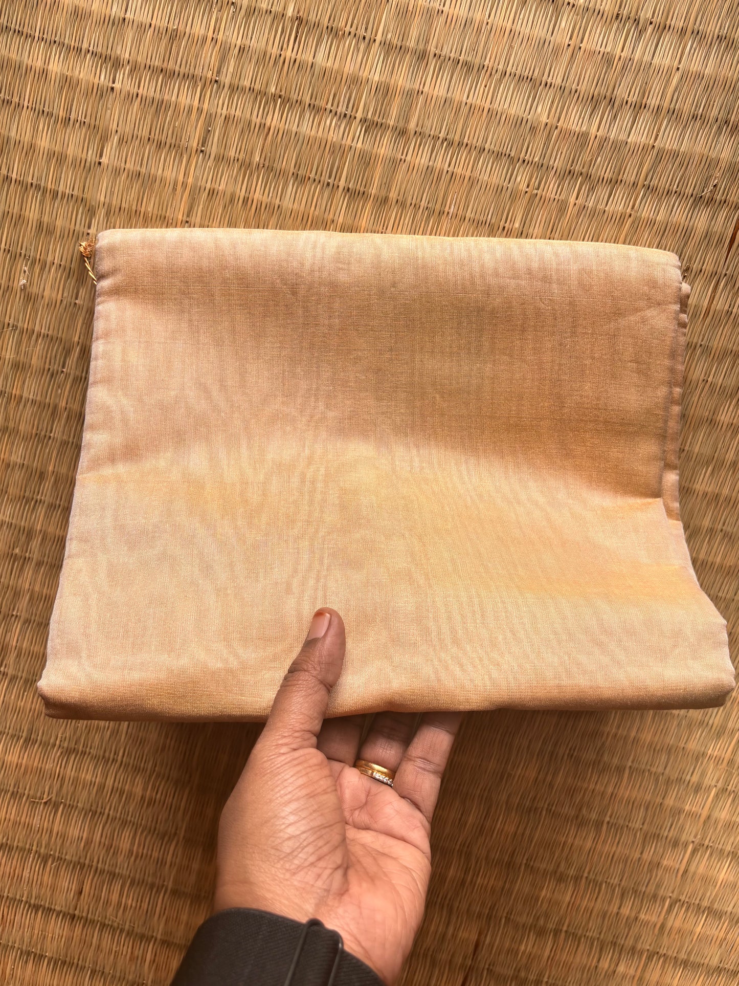 Beige Gold Plain Tissue Maheshwari Saree